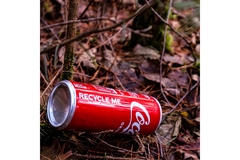 A can of Coke laying in nature on top of brown leaves.